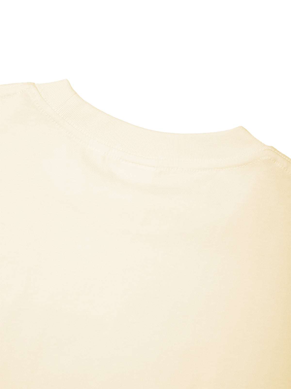 PS23 Abundance Unisex Oversized Drop Shoulder T-Shirt